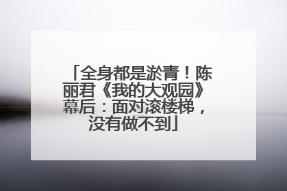 全身都是淤青！陈丽君《我的大观园》幕后：面对滚楼梯，没有做不到