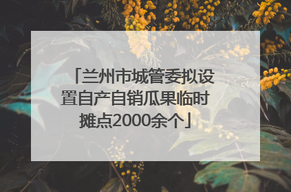 兰州市城管委拟设置自产自销瓜果临时摊点2000余个