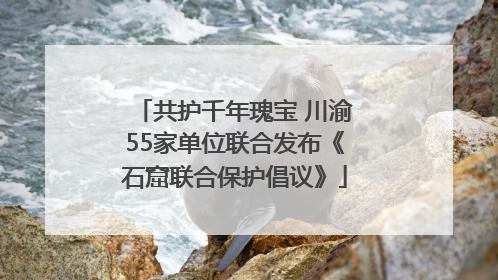 共护千年瑰宝 川渝55家单位联合发布《石窟联合保护倡议》