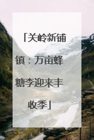 关岭新铺镇：万亩蜂糖李迎来丰收季