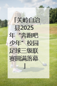 关岭自治县2025年“奔跑吧少年”校园足球三级联赛圆满落幕