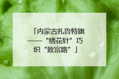 内蒙古扎鲁特旗——“绣花针”巧织“致富路”
