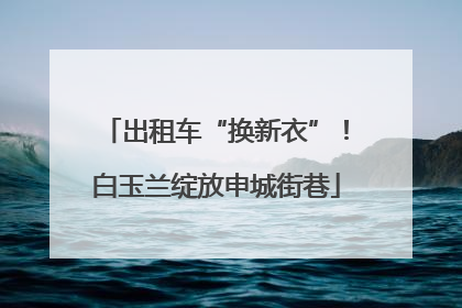 出租车“换新衣”！白玉兰绽放申城街巷