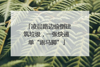 凌晨路边偷倒建筑垃圾，一张快递单“露马脚”