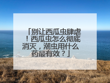 别让西瓜虫肆虐！西瓜虫怎么彻底消灭，潮虫用什么药最有效？