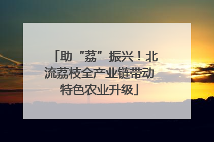 助“荔”振兴！北流荔枝全产业链带动特色农业升级