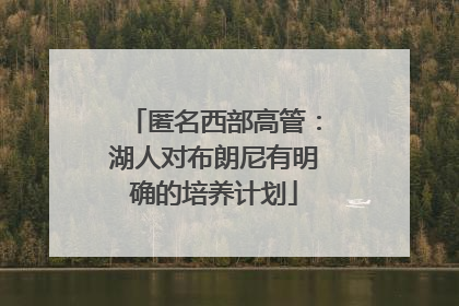 匿名西部高管：湖人对布朗尼有明确的培养计划