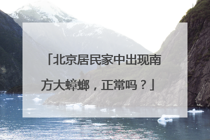 北京居民家中出现南方大蟑螂，正常吗？
