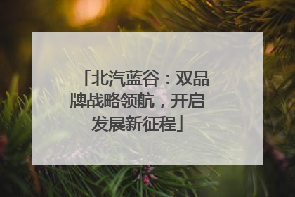 北汽蓝谷：双品牌战略领航，开启发展新征程