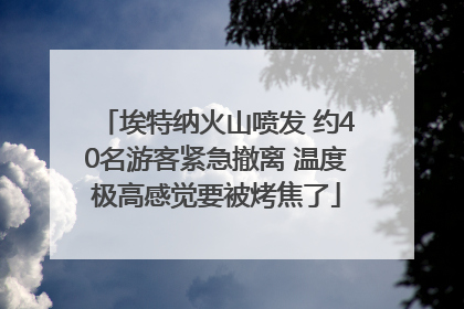 埃特纳火山喷发 约40名游客紧急撤离 温度极高感觉要被烤焦了