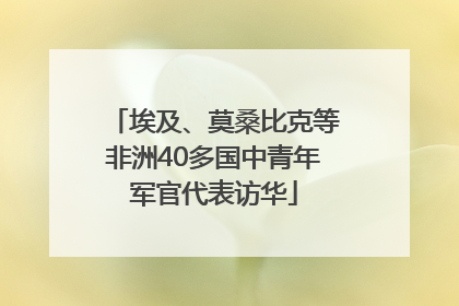 埃及、莫桑比克等非洲40多国中青年军官代表访华