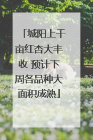 城阳上千亩红杏大丰收 预计下周各品种大面积成熟