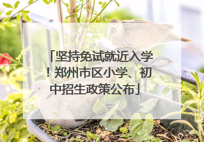 坚持免试就近入学！郑州市区小学、初中招生政策公布