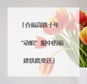 合福高铁十年：“动姐”眼中的福建铁路变迁