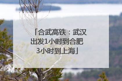 合武高铁：武汉出发1小时到合肥3小时到上海