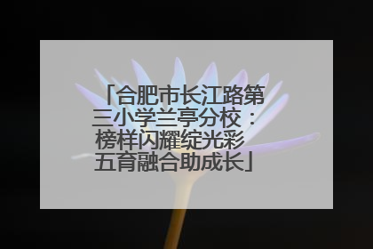 合肥市长江路第三小学兰亭分校：榜样闪耀绽光彩 五育融合助成长