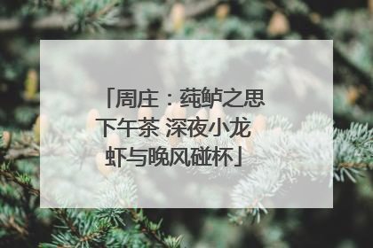 周庄：莼鲈之思下午茶 深夜小龙虾与晚风碰杯