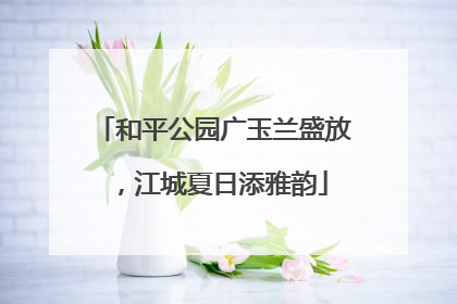 和平公园广玉兰盛放，江城夏日添雅韵