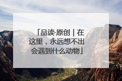 品读·原创｜在这里，永远想不出会遇到什么动物