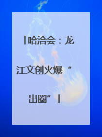 哈洽会：龙江文创火爆“出圈”