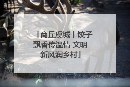 商丘虞城丨饺子飘香传温情 文明新风润乡村