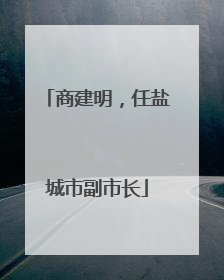 商建明，任盐城市副市长