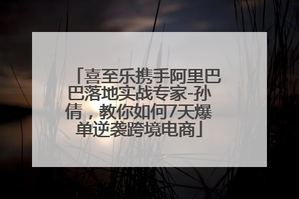 喜至乐携手阿里巴巴落地实战专家-孙倩，教你如何7天爆单逆袭跨境电商