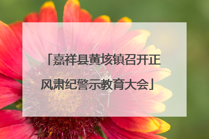 嘉祥县黄垓镇召开正风肃纪警示教育大会
