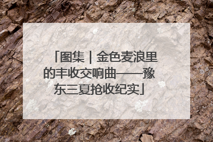 图集｜金色麦浪里的丰收交响曲——豫东三夏抢收纪实