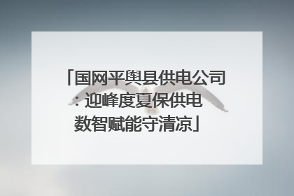 国网平舆县供电公司：迎峰度夏保供电  数智赋能守清凉