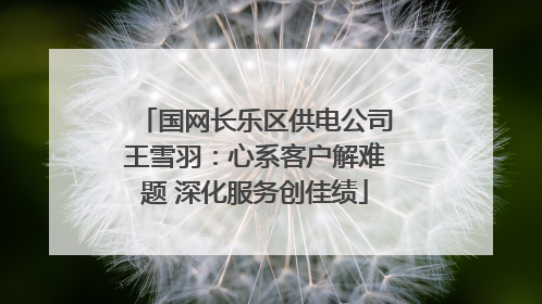 国网长乐区供电公司王雪羽：心系客户解难题 深化服务创佳绩