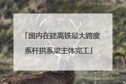 国内在建高铁最大跨度系杆拱系梁主体完工