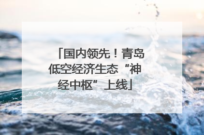 国内领先！青岛低空经济生态“神经中枢”上线