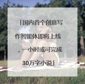 国内首个创意写作智能体即将上线，一小时或可完成30万字小说