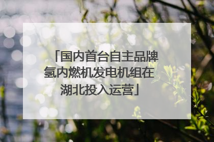 国内首台自主品牌氢内燃机发电机组在湖北投入运营