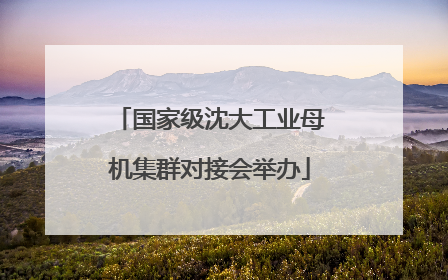 国家级沈大工业母机集群对接会举办