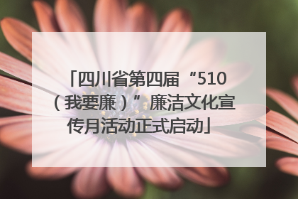 四川省第四届“510（我要廉）”廉洁文化宣传月活动正式启动