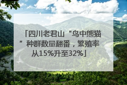 四川老君山“鸟中熊猫”种群数量翻番，繁殖率从15%升至32%