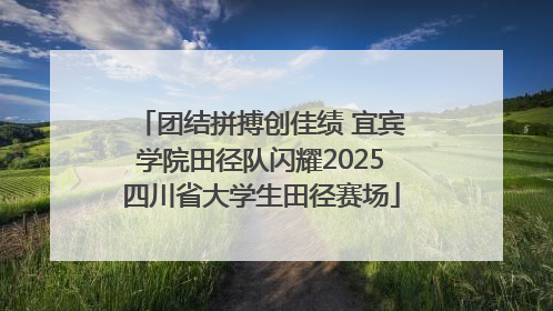 团结拼搏创佳绩 宜宾学院田径队闪耀2025四川省大学生田径赛场