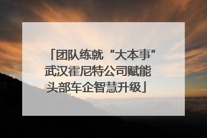 团队练就“大本事” 武汉霍尼特公司赋能头部车企智慧升级
