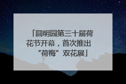 圆明园第三十届荷花节开幕，首次推出“荷梅”双花展