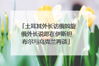 土耳其外长访俄斡旋 俄外长说愿在伊斯坦布尔与乌克兰再谈