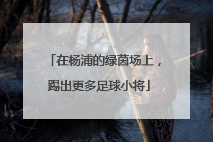 在杨浦的绿茵场上，踢出更多足球小将