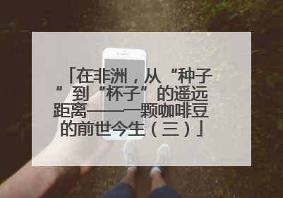 在非洲，从“种子”到“杯子”的遥远距离——一颗咖啡豆的前世今生（三）