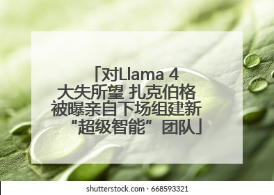 对Llama 4大失所望 扎克伯格被曝亲自下场组建新“超级智能”团队