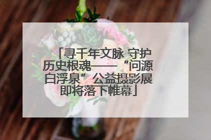 寻千年文脉 守护历史根魂——“问源白浮泉”公益摄影展即将落下帷幕