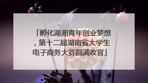 孵化湖湘青年创业梦想，第十二届湖南省大学生电子商务大赛圆满收官