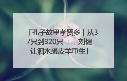 孔子故里孝贤多｜从37只到320只——刘健让泗水裘皮羊重生