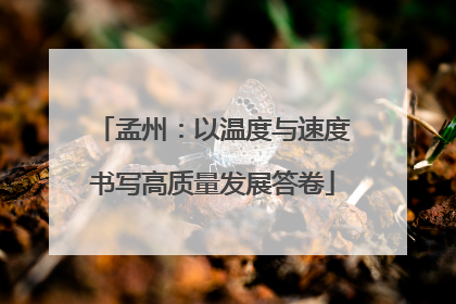 孟州：以温度与速度书写高质量发展答卷
