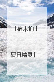 宿来拍丨夏日精灵